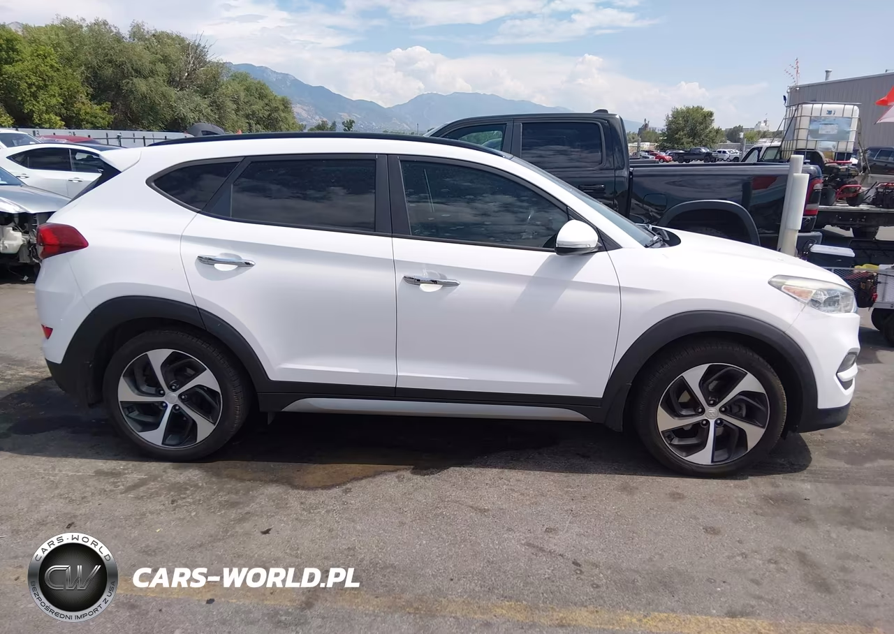 2017 Hyundai Tucson Limited VIN:KM8J3CA29HU276951 - 13