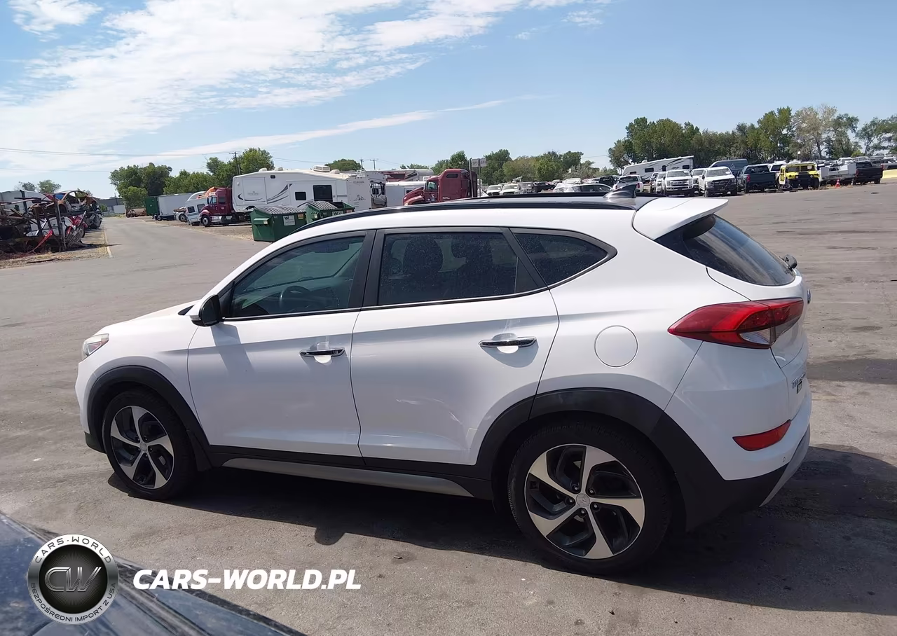 2017 Hyundai Tucson Limited VIN:KM8J3CA29HU276951 - 14
