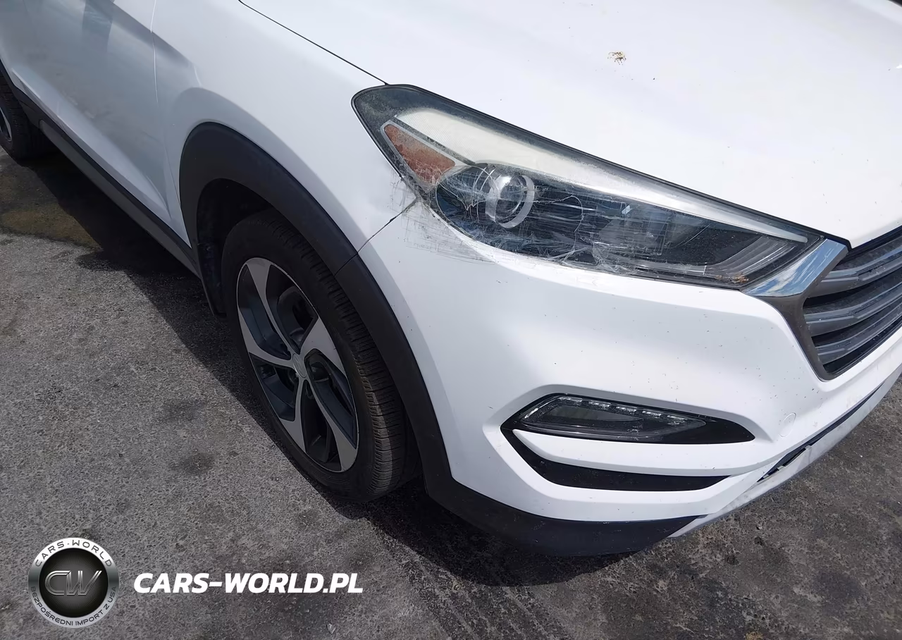 2017 Hyundai Tucson Limited VIN:KM8J3CA29HU276951 - 18