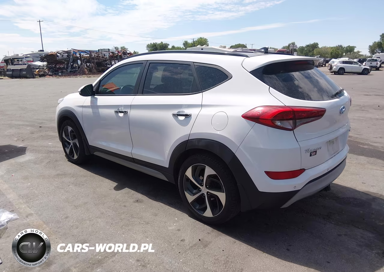 2017 Hyundai Tucson Limited VIN:KM8J3CA29HU276951 - 3