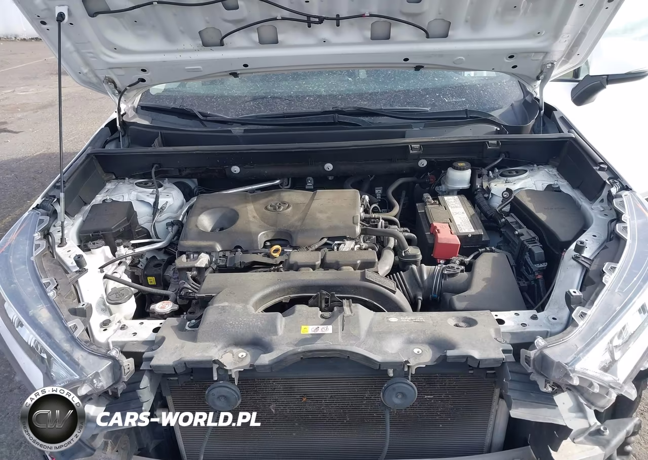 2019 Toyota Rav4 Xle VIN:2T3P1RFV2KC012282 - 10