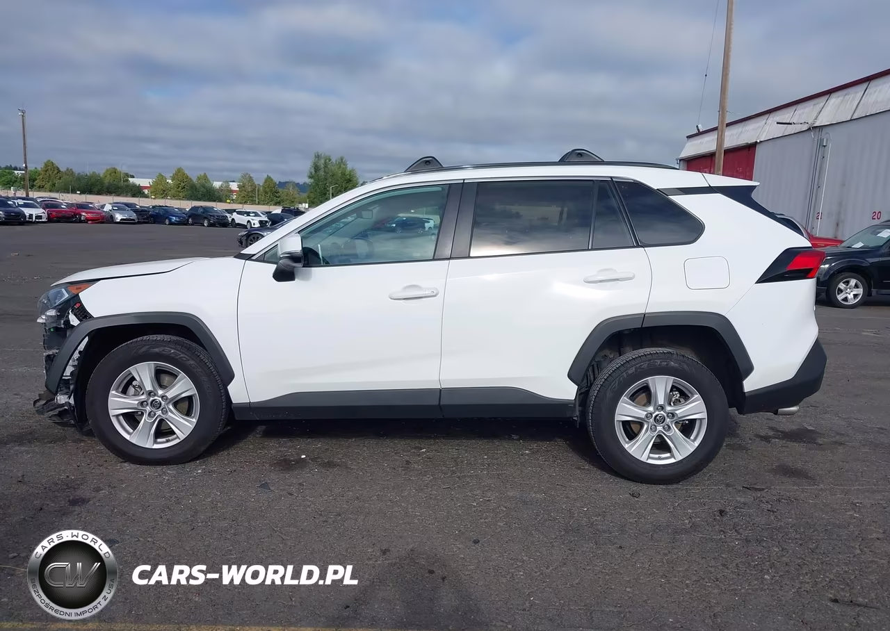 2019 Toyota Rav4 Xle VIN:2T3P1RFV2KC012282 - 15