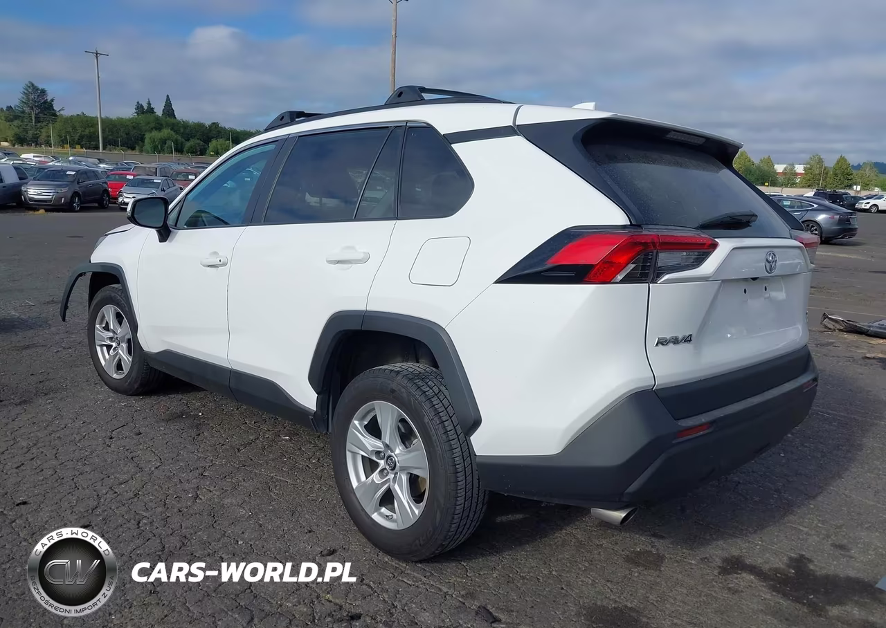 2019 Toyota Rav4 Xle VIN:2T3P1RFV2KC012282 - 3