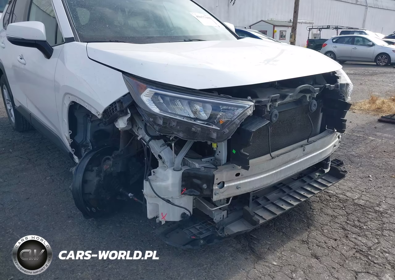 2019 Toyota Rav4 Xle VIN:2T3P1RFV2KC012282 - 6