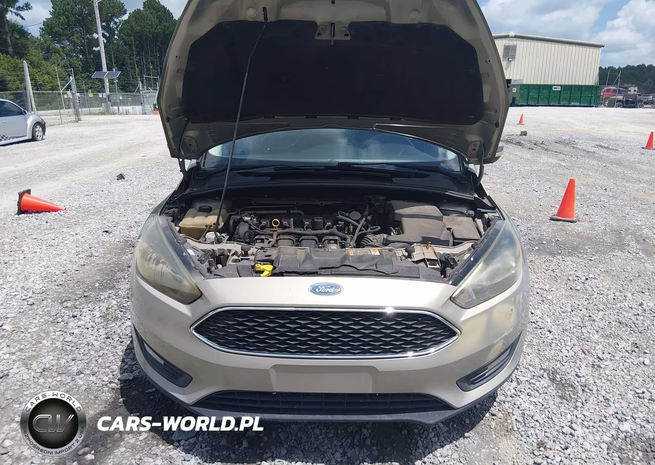 2016 Ford Focus Se VIN:1FADP3K20GL329602 - 10