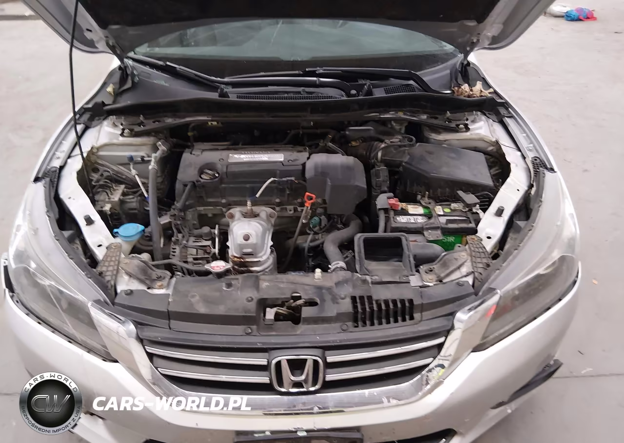 2013 Honda Accord Ex-L VIN:1HGCR2F81DA144489 - 10