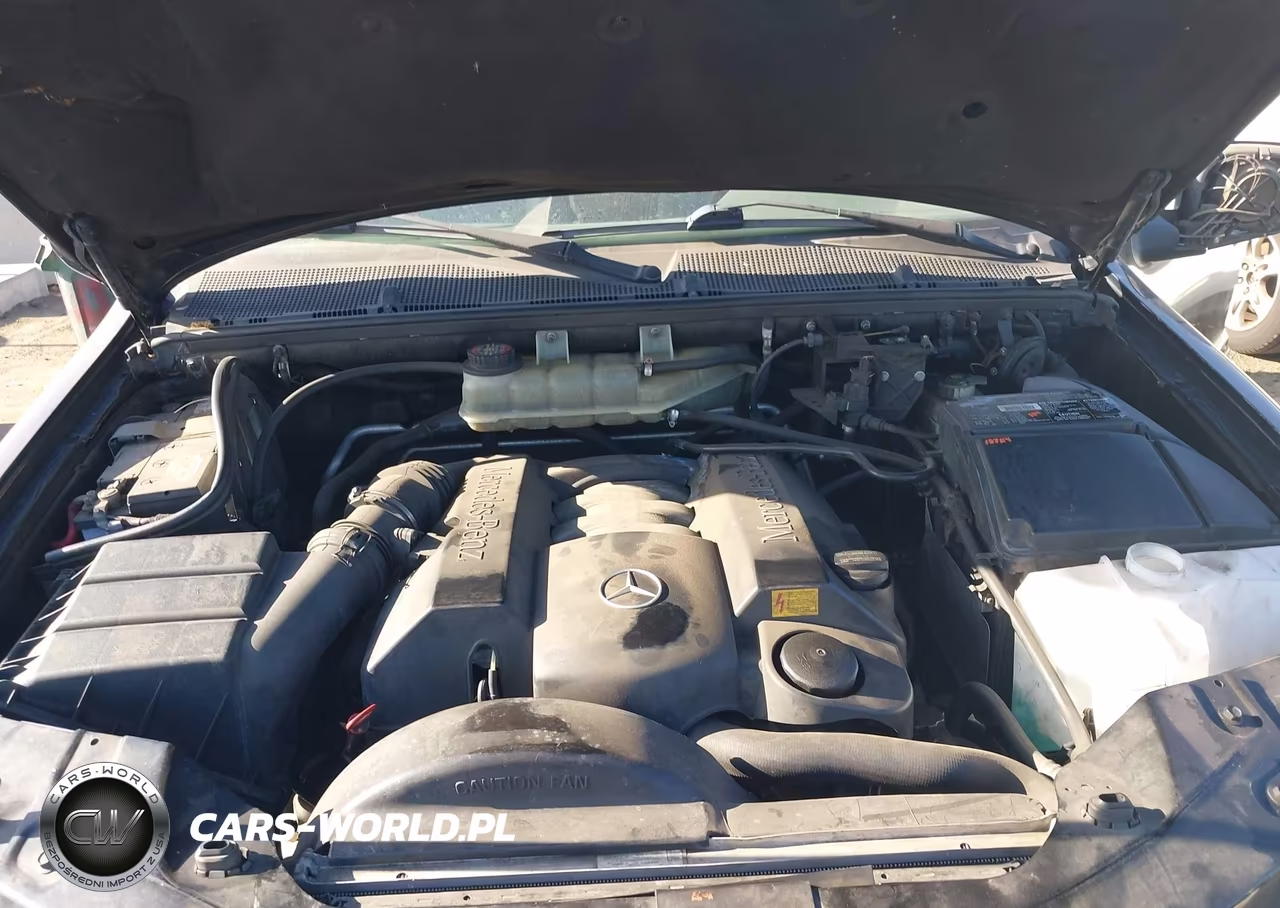 2000 Mercedes-Benz Ml 320 VIN:4JGAB54E8YA161957 - 10