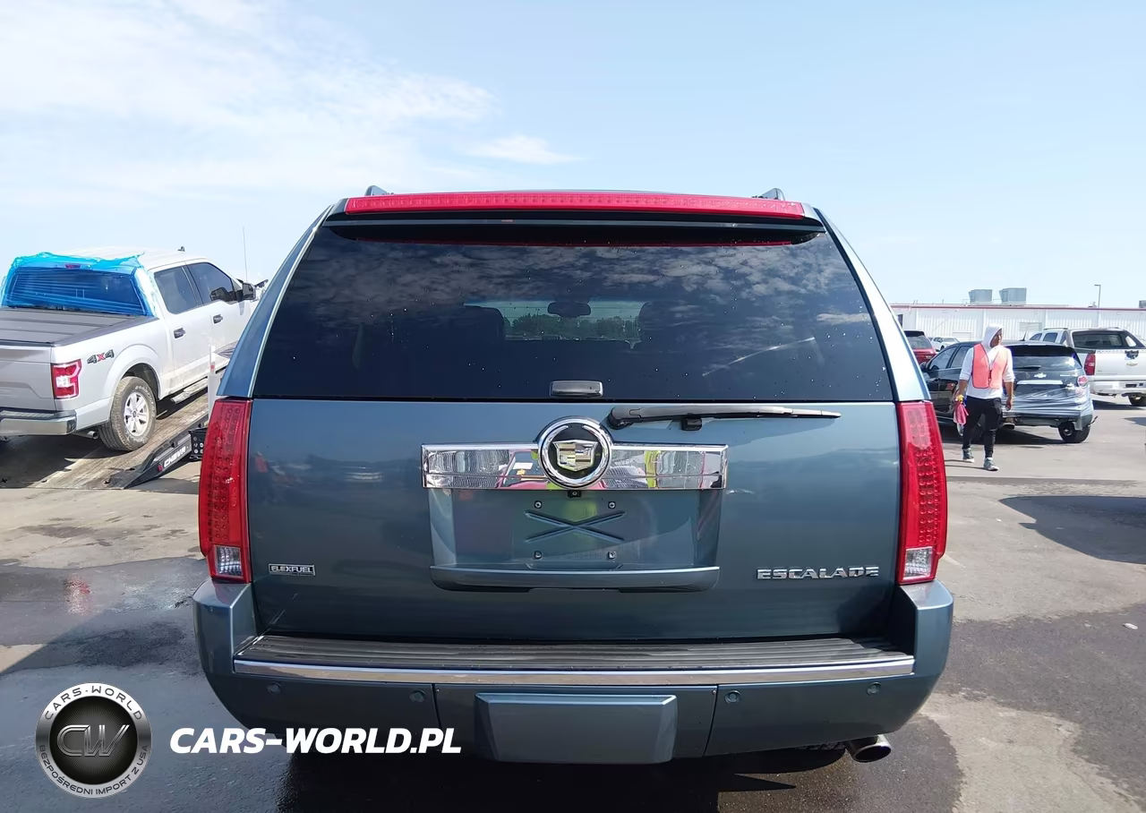 2009 Cadillac Escalade Standard VIN:1GYFK23269R226091 - 15