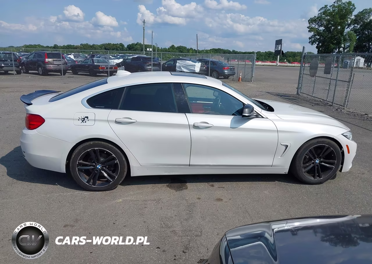 2016 BMW 428I Gran Coupe VIN:WBA4A9C50GG695718 - 13