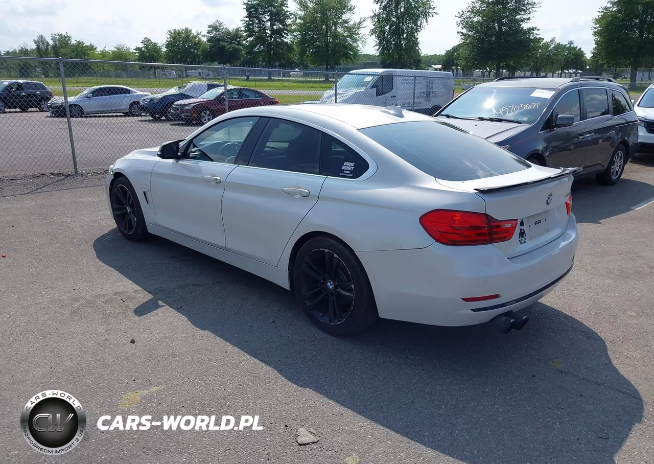 2016 BMW 428I Gran Coupe VIN:WBA4A9C50GG695718 - 3