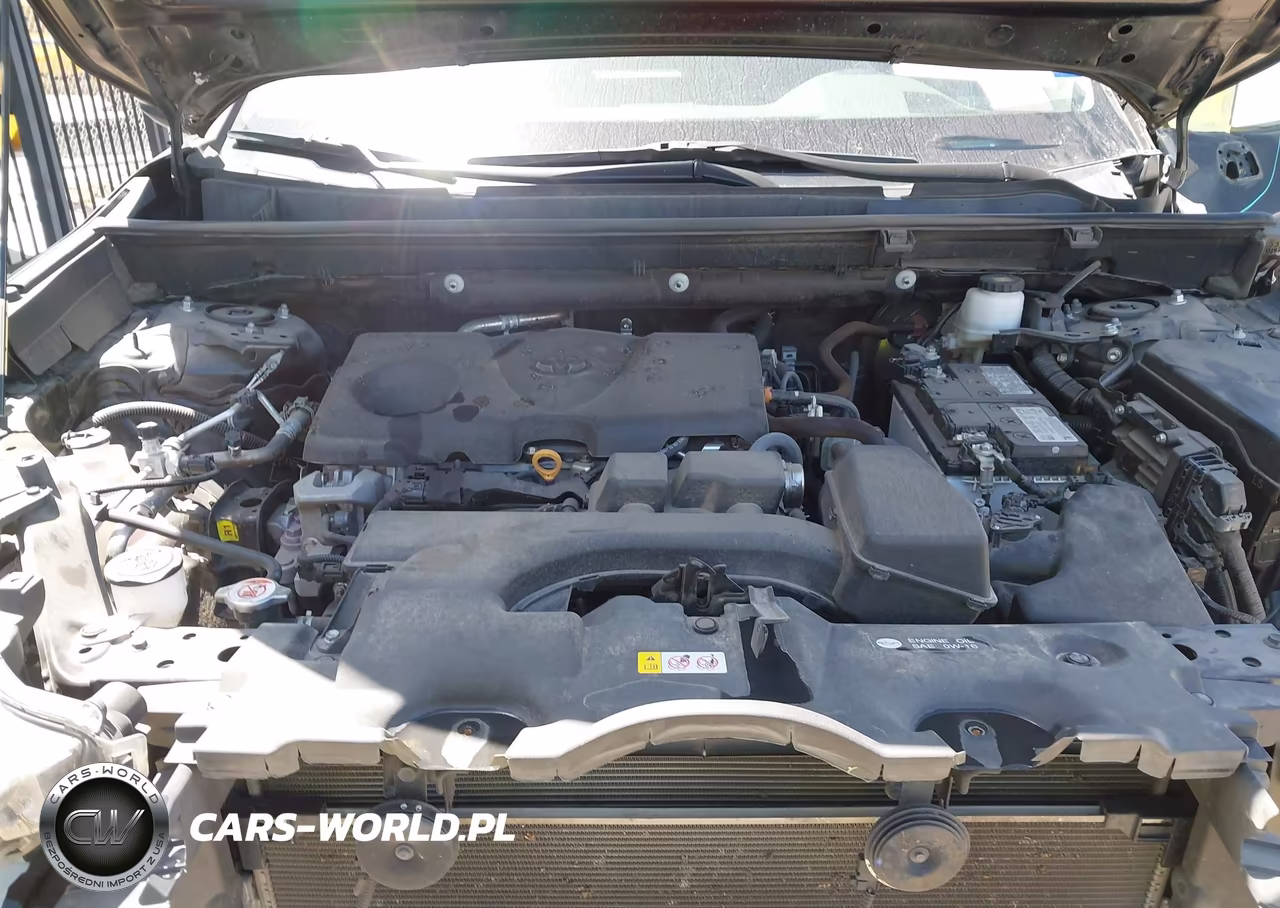 2023 Toyota Rav4 Xle Premium VIN:2T3C1RFV9PW256757 - 10