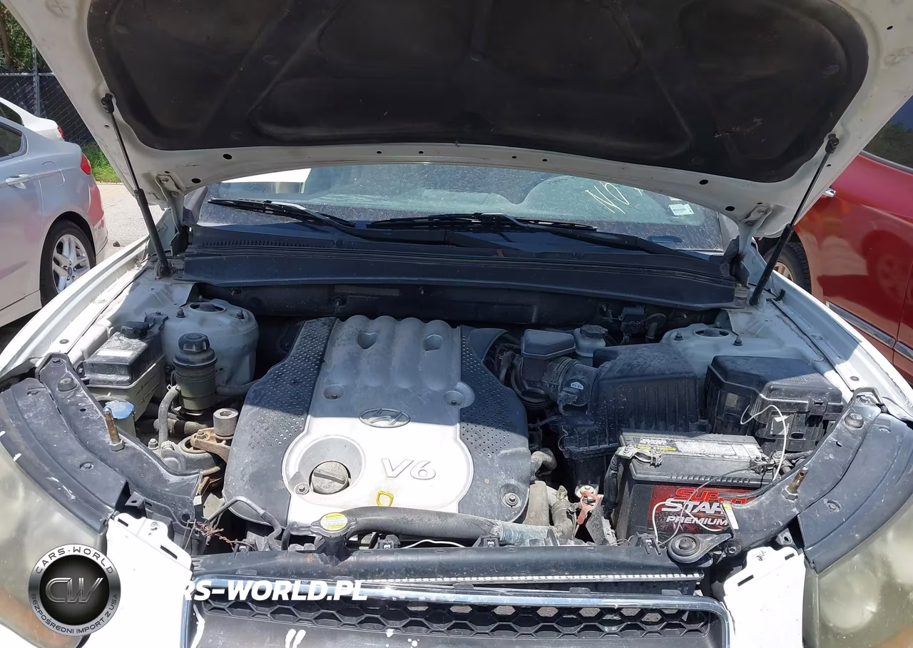2007 Hyundai Santa Fe Gls VIN:5NMSG13D37H052550 - 10