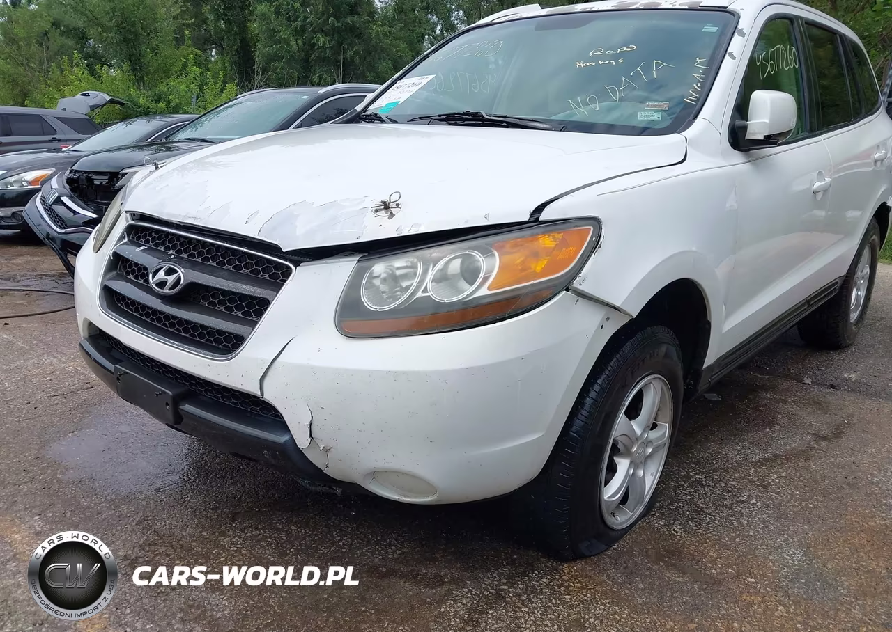 2007 Hyundai Santa Fe Gls VIN:5NMSG13D37H052550 - 6