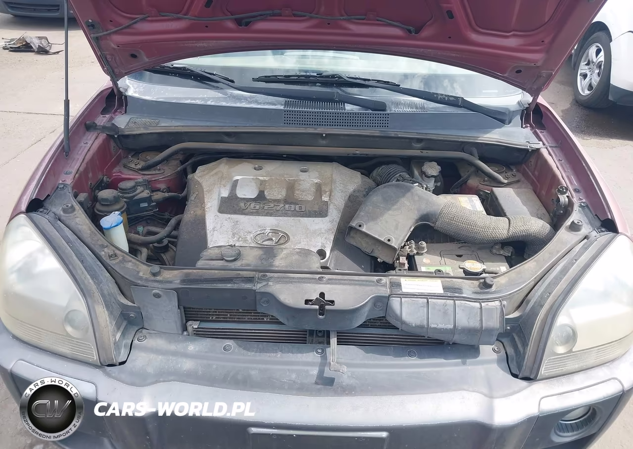 2006 Hyundai Tucson Gls-Limited VIN:KM8JN72D16U392630 - 10