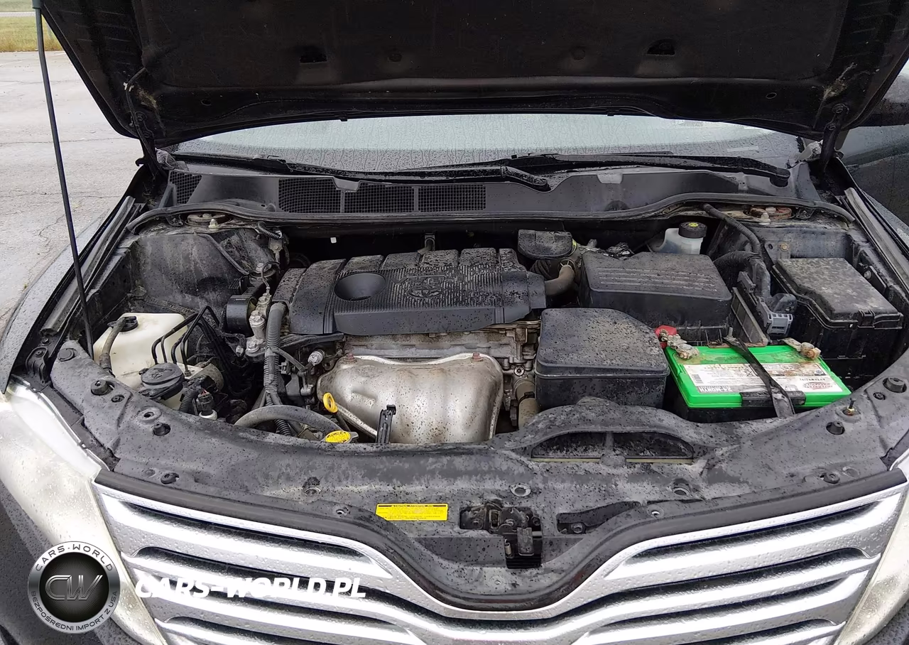 2010 Toyota Venza VIN:4T3BA3BB4AU010792 - 10