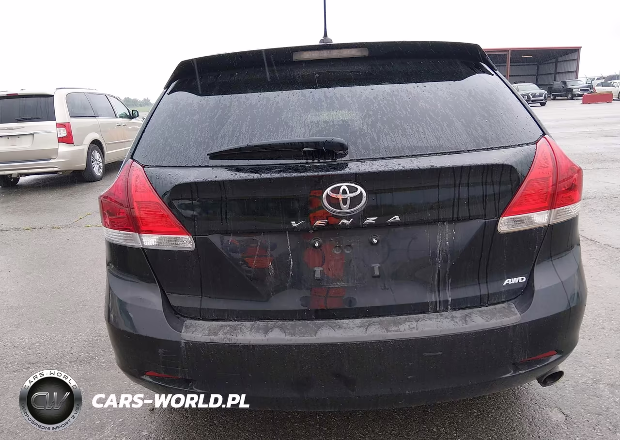 2010 Toyota Venza VIN:4T3BA3BB4AU010792 - 12
