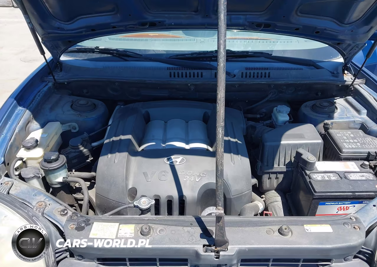 2006 Hyundai Santa Fe Gls VIN:KM8SC13D66U108009 - 10