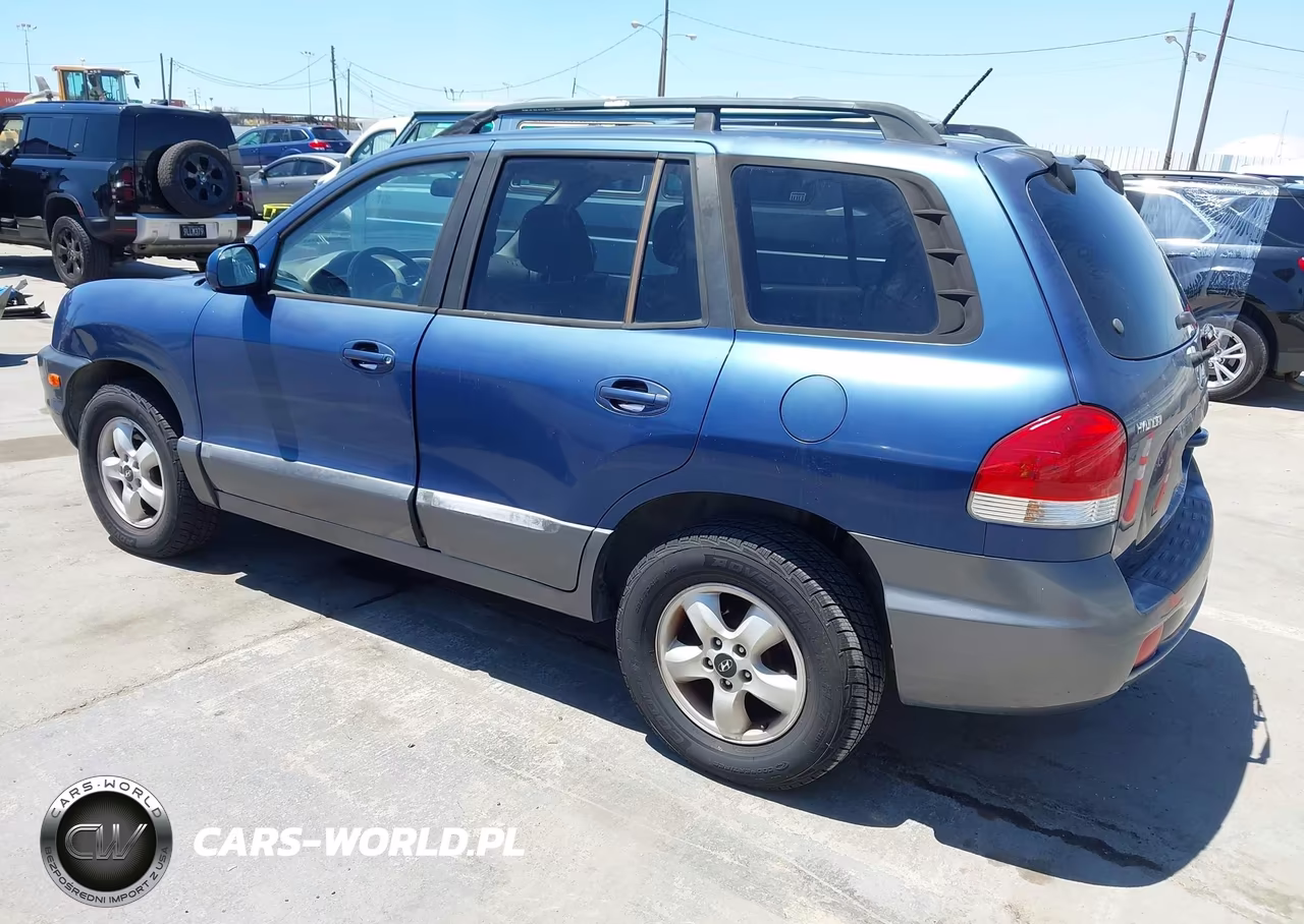 2006 Hyundai Santa Fe Gls VIN:KM8SC13D66U108009 - 3