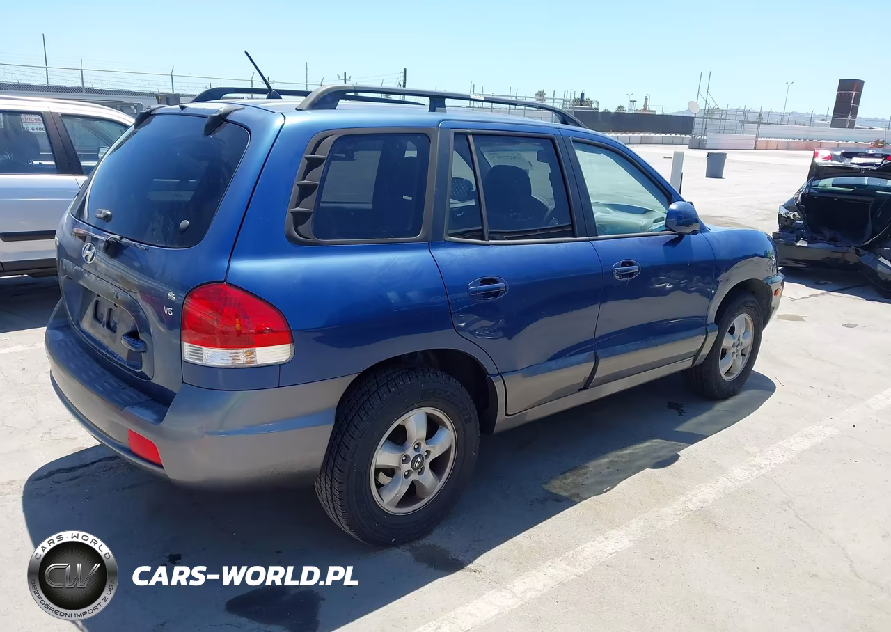 2006 Hyundai Santa Fe Gls VIN:KM8SC13D66U108009 - 4