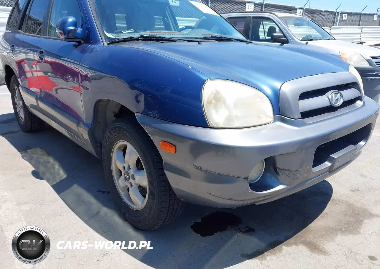 2006 Hyundai Santa Fe Gls VIN:KM8SC13D66U108009 - 6