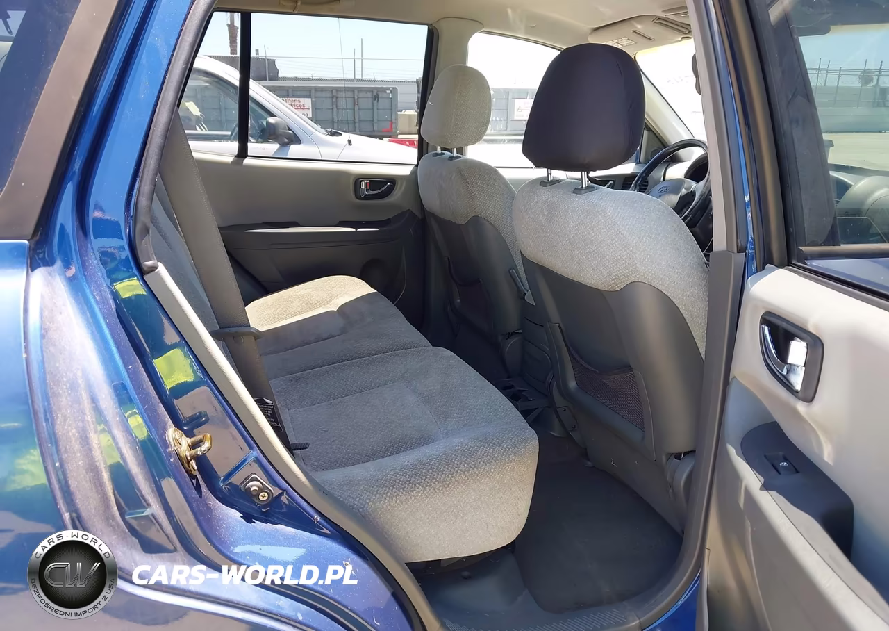 2006 Hyundai Santa Fe Gls VIN:KM8SC13D66U108009 - 8