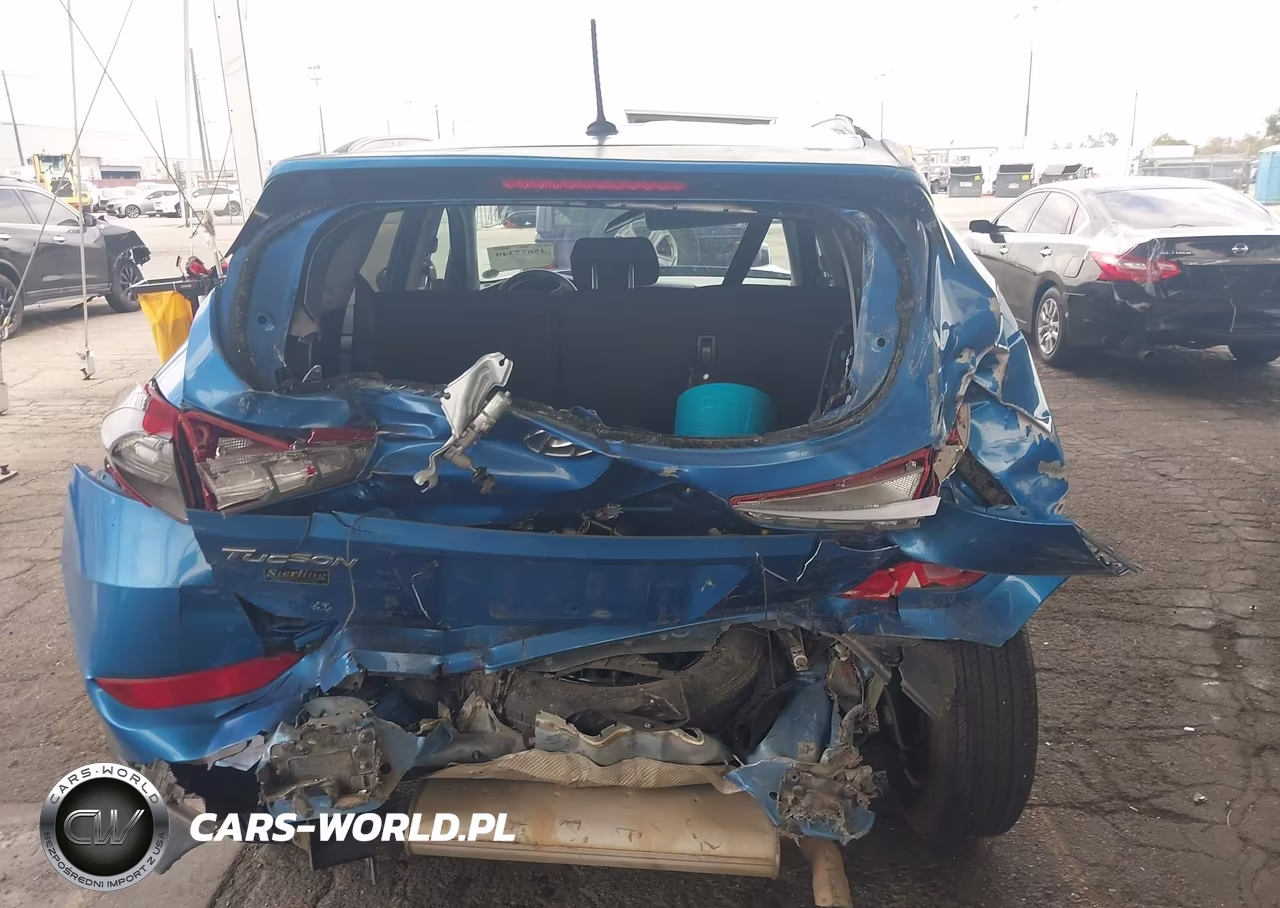 2016 Hyundai Tucson Se VIN:KM8J33A46GU115716 - 17