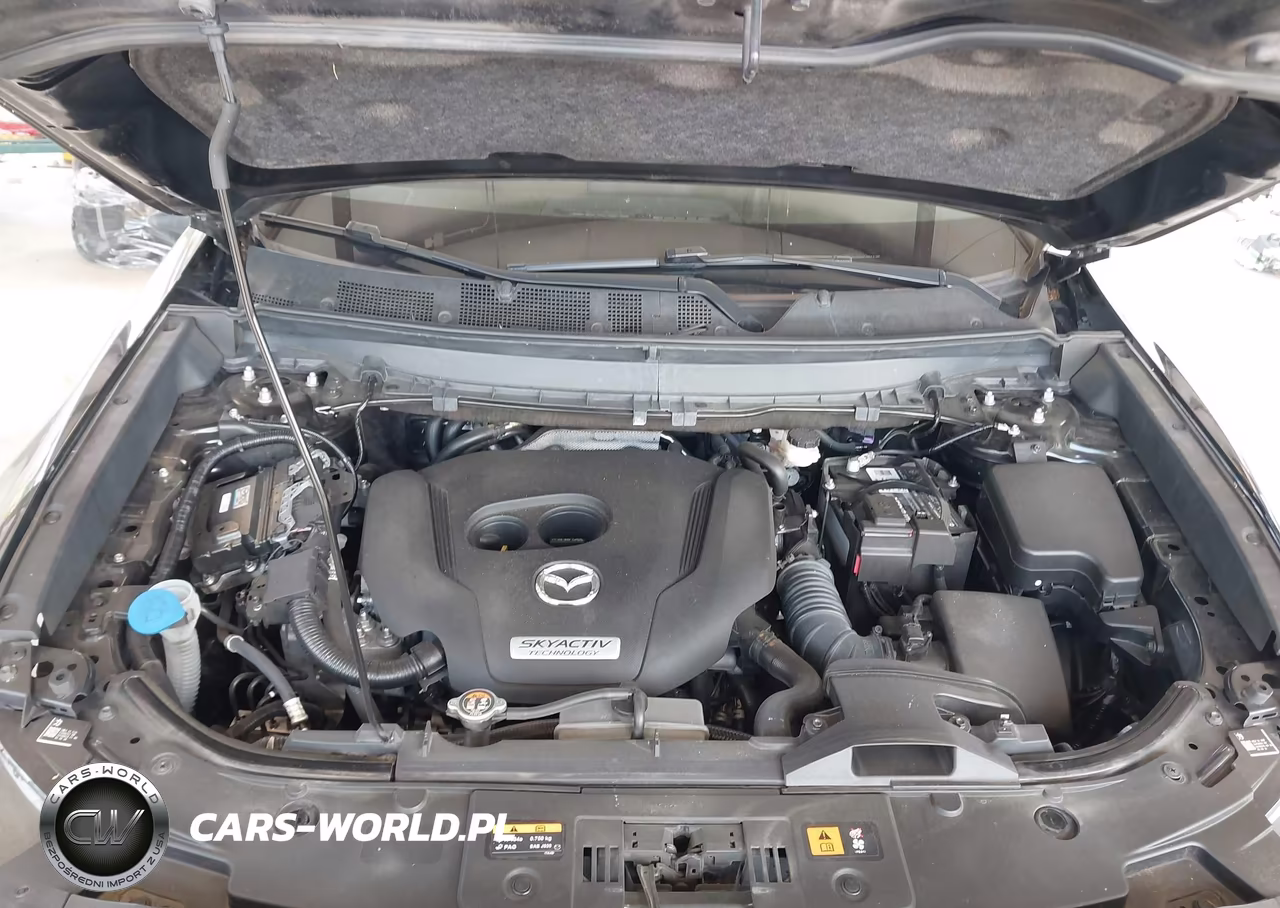 2018 Mazda Cx-9 Sport VIN:JM3TCBBY8J0234639 - 10