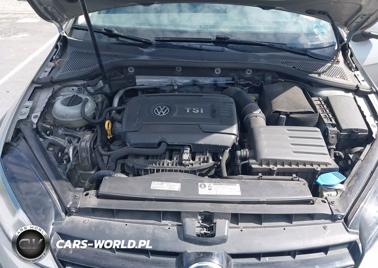 2016 Volkswagen Golf Tsi S 4-Door VIN:3VW217AU7GM010691 - 10