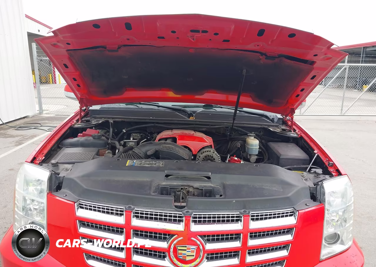 2010 Cadillac Escalade Premium VIN:1GYUKCEF7AR172981 - 10