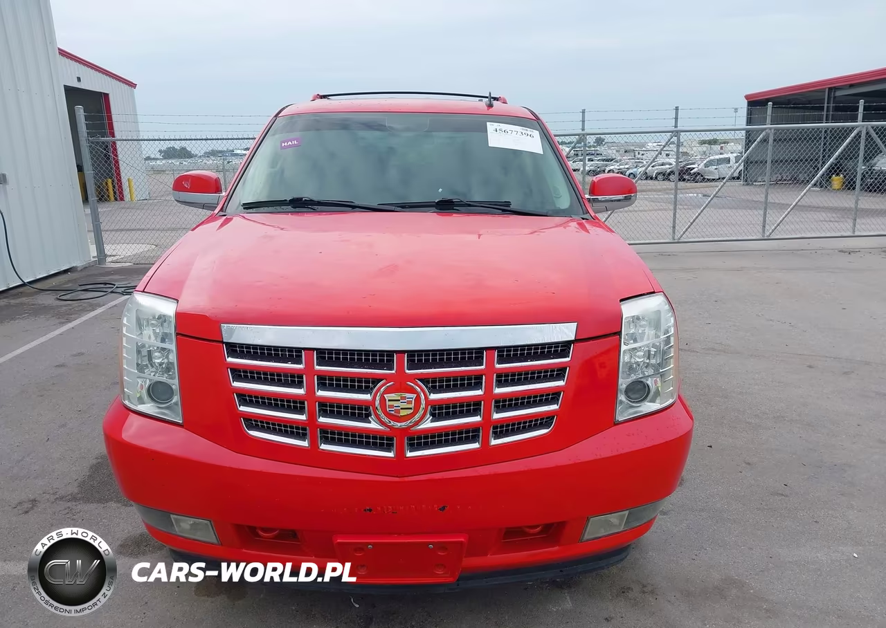 2010 Cadillac Escalade Premium VIN:1GYUKCEF7AR172981 - 12