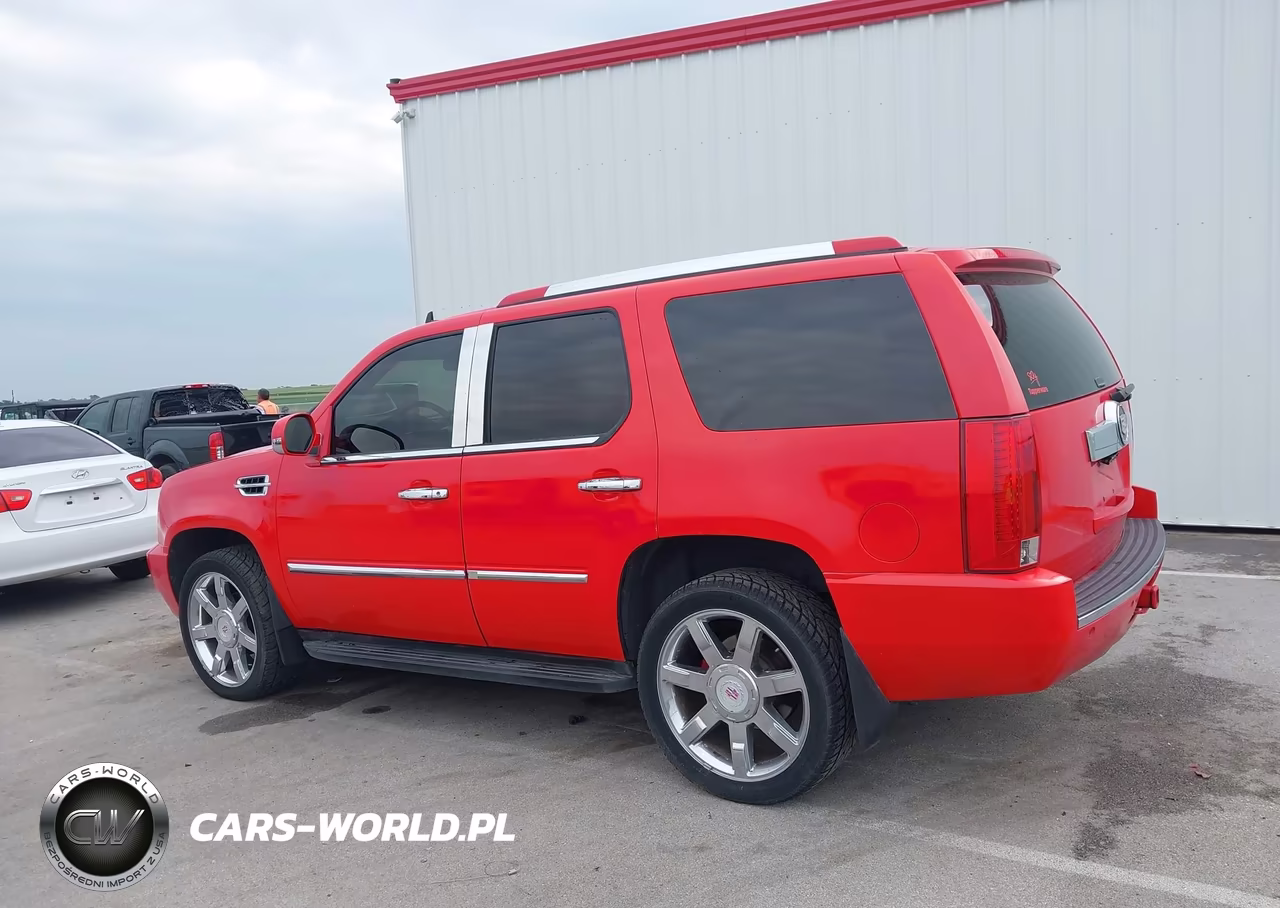 2010 Cadillac Escalade Premium VIN:1GYUKCEF7AR172981 - 14
