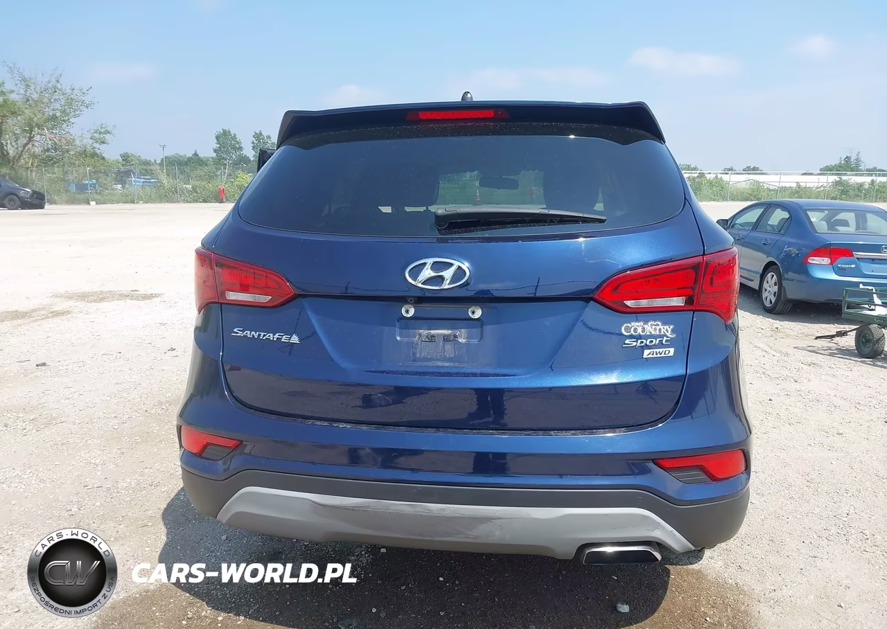 2018 Hyundai Santa Fe Sport 2.4L VIN:5XYZTDLB4JG560716 - 16