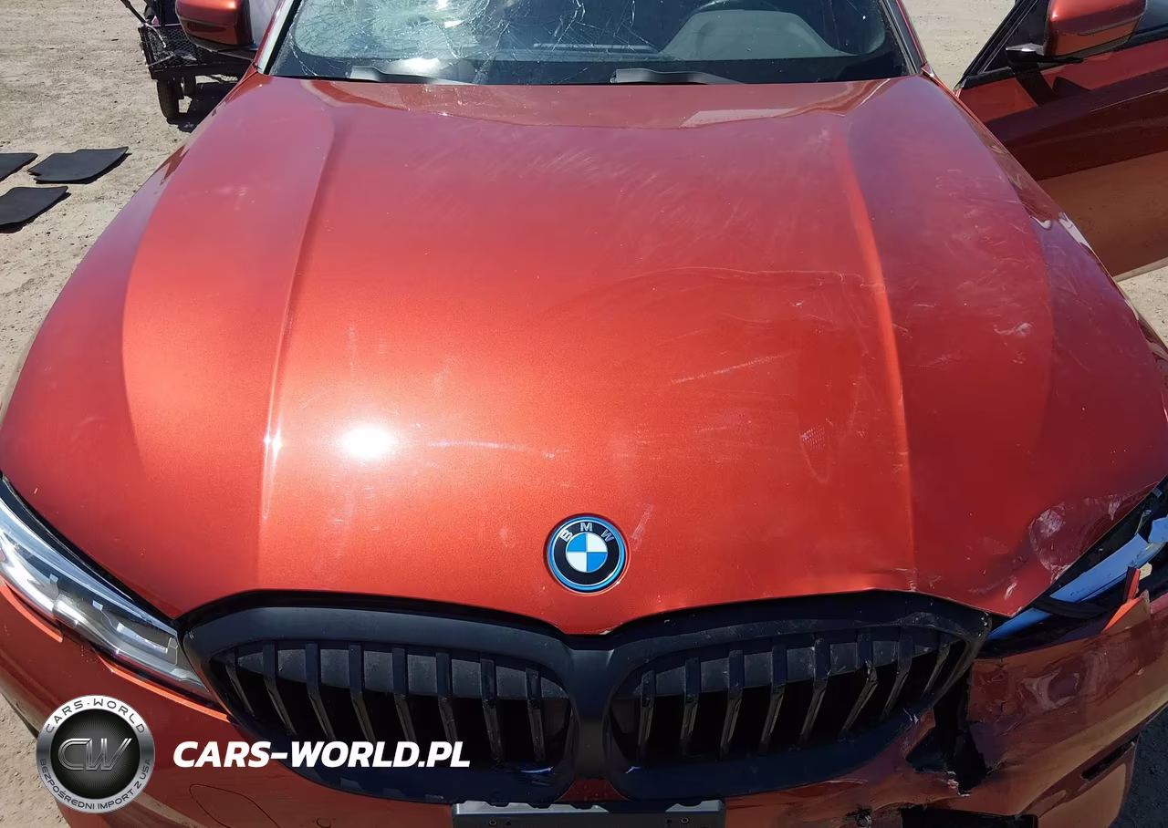 2022 BMW 330E VIN:3MW5P7J03N8C36256 - 10