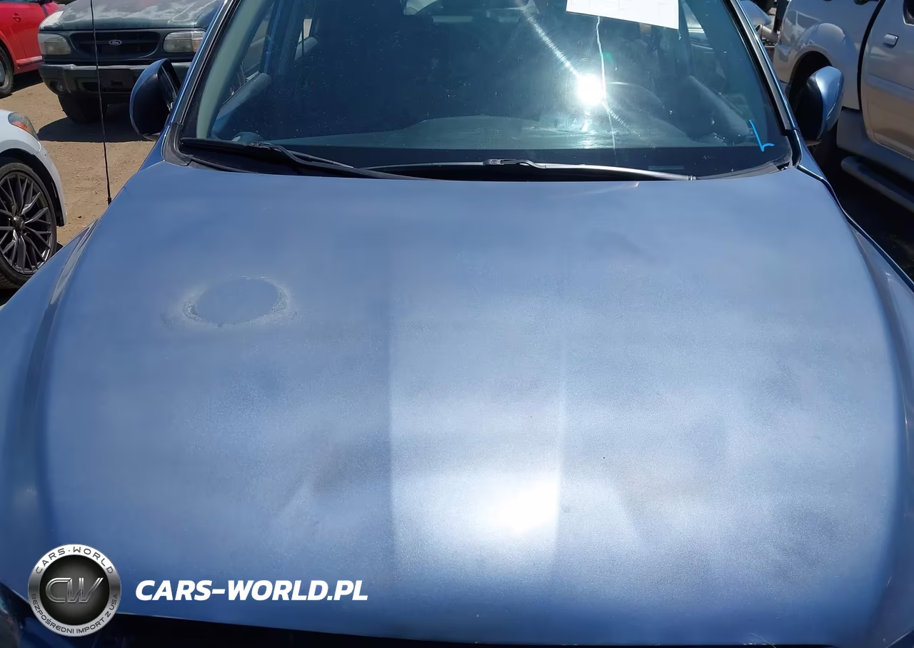 2007 Toyota Rav4 Sport VIN:JTMBK32V076014307 - 10