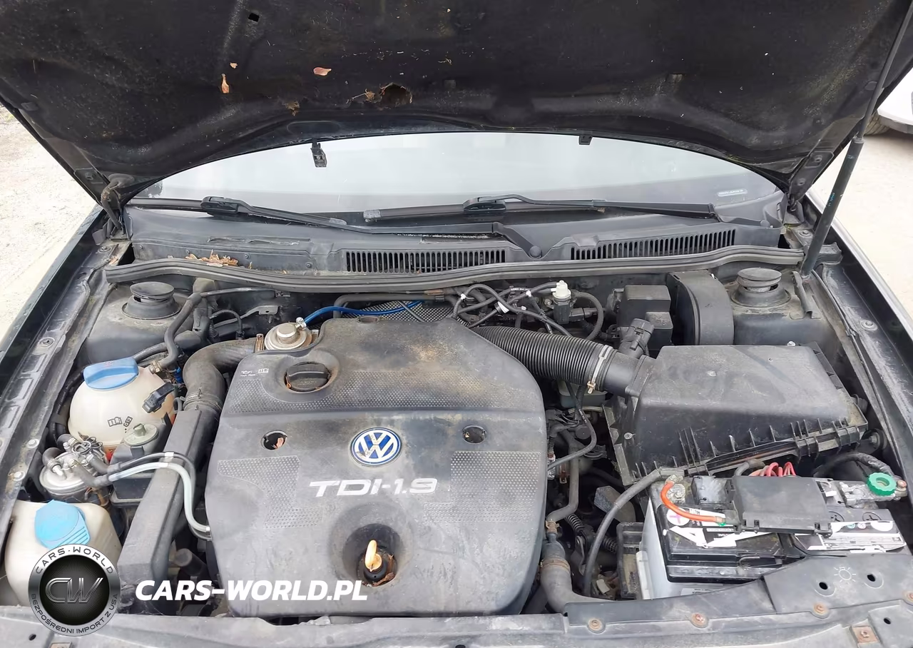 2003 Volkswagen Golf Gls Tdi VIN:9BWGP61JX34009196 - 10