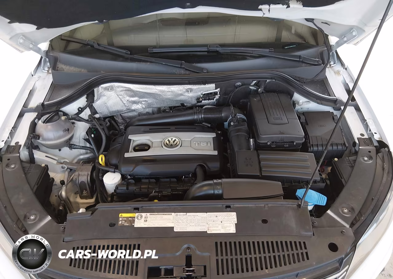 2016 Volkswagen Tiguan Se VIN:WVGBV7AX1GW574544 - 10