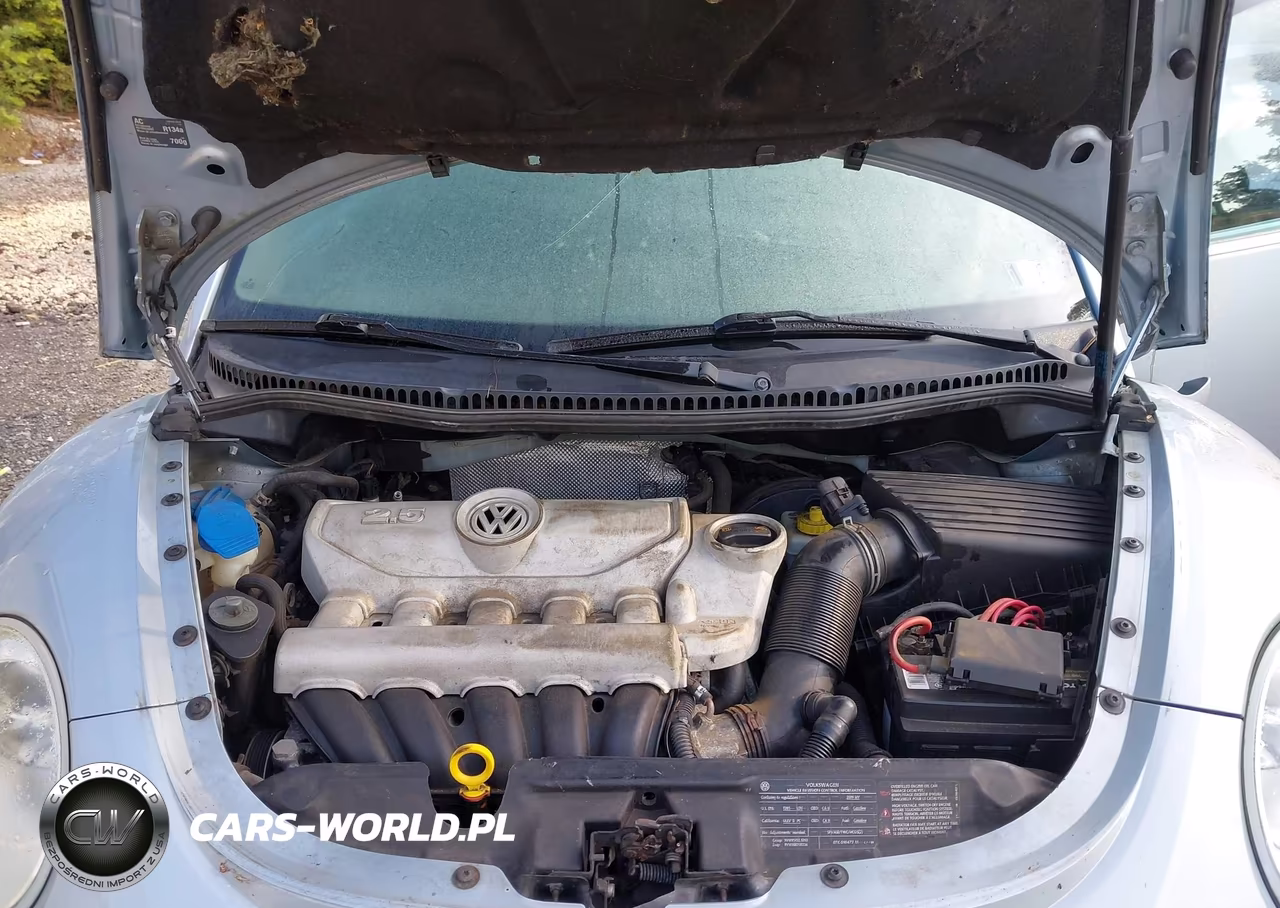 2009 Volkswagen New Beetle 2.5L VIN:3VWRF31Y89M402187 - 10