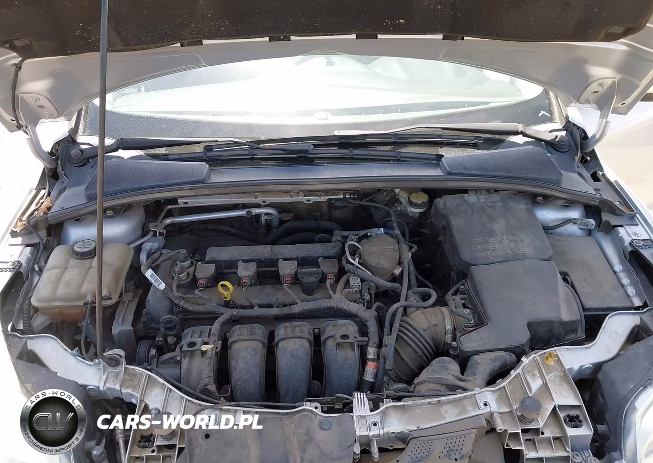 2013 Ford Focus Se VIN:1FADP3K21DL204894 - 10