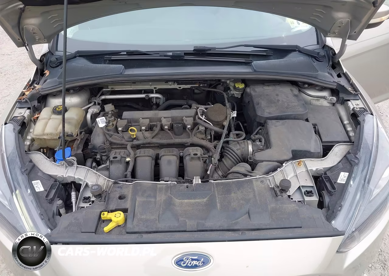 2015 Ford Focus Se VIN:1FADP3K2XFL284019 - 10