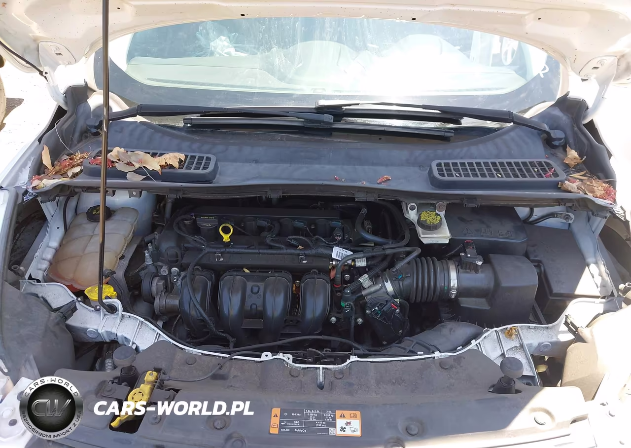 2015 Ford Escape S VIN:1FMCU0F70FUC66475 - 10
