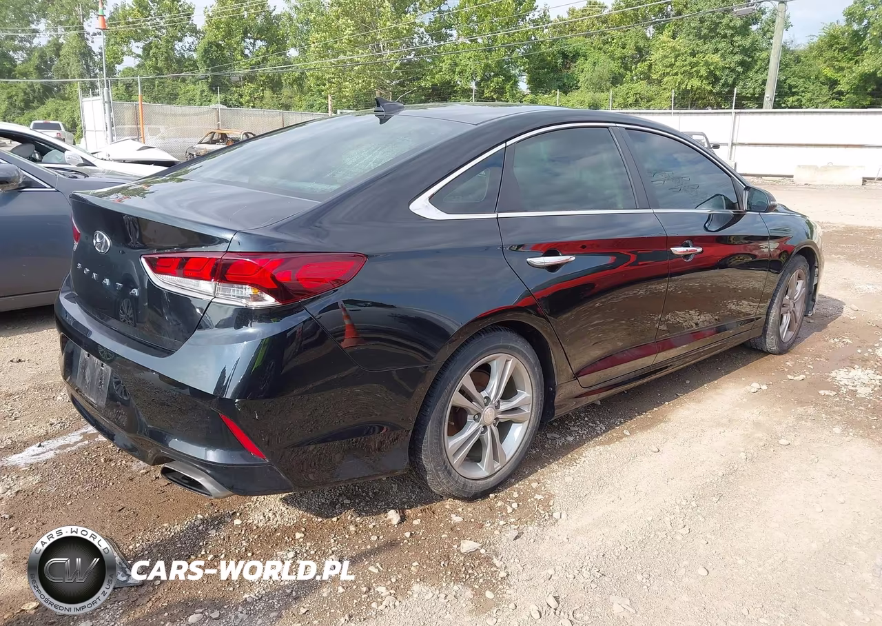 2019 Hyundai Sonata Sel VIN:5NPE34AF8KH778253 - 4