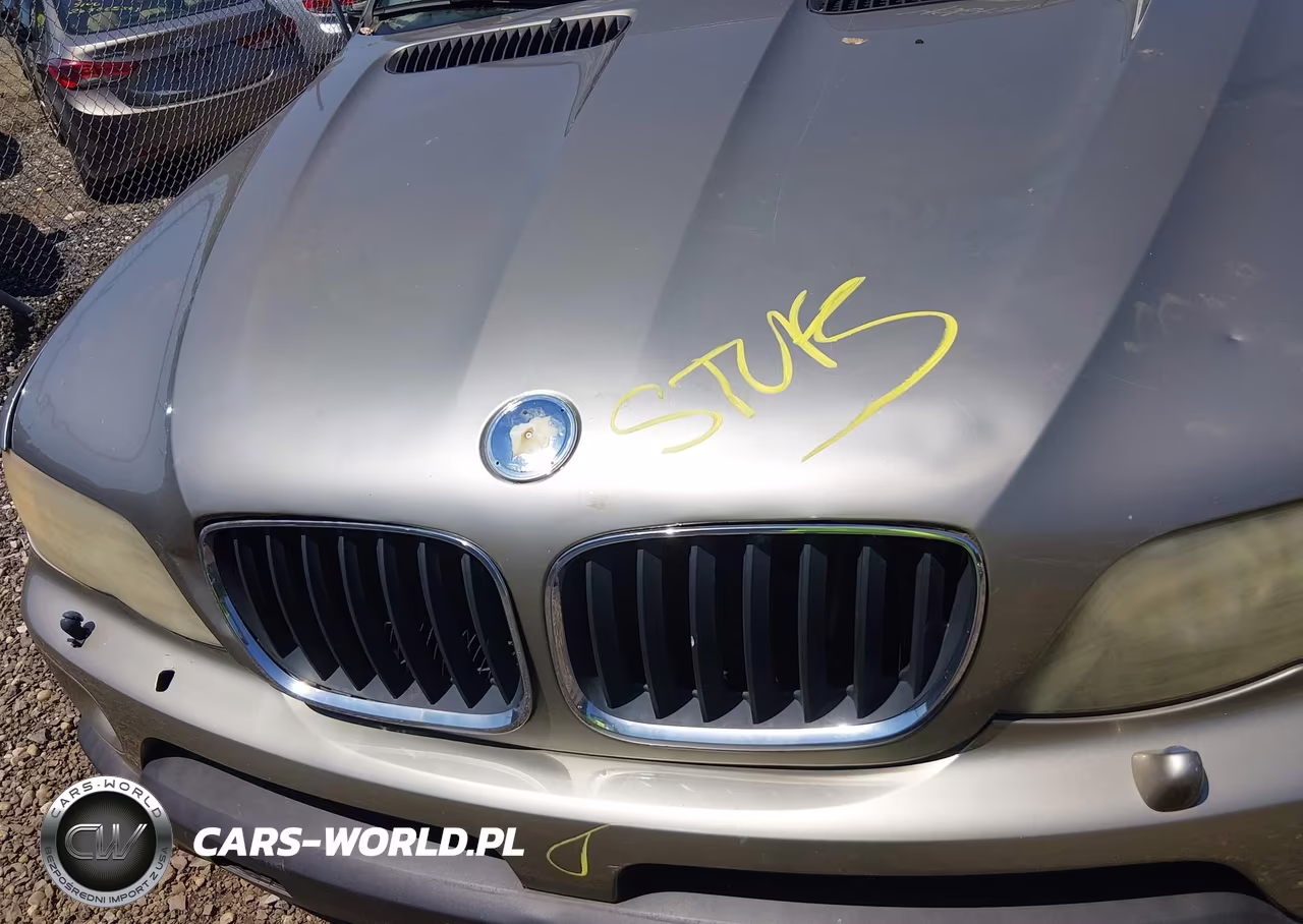 2005 BMW X5 3.0I VIN:5UXFA13585LY05902 - 10