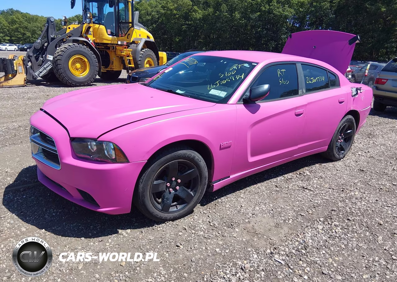2011 Dodge Charger Police VIN:2B3CL1CT6BH600649 - 2