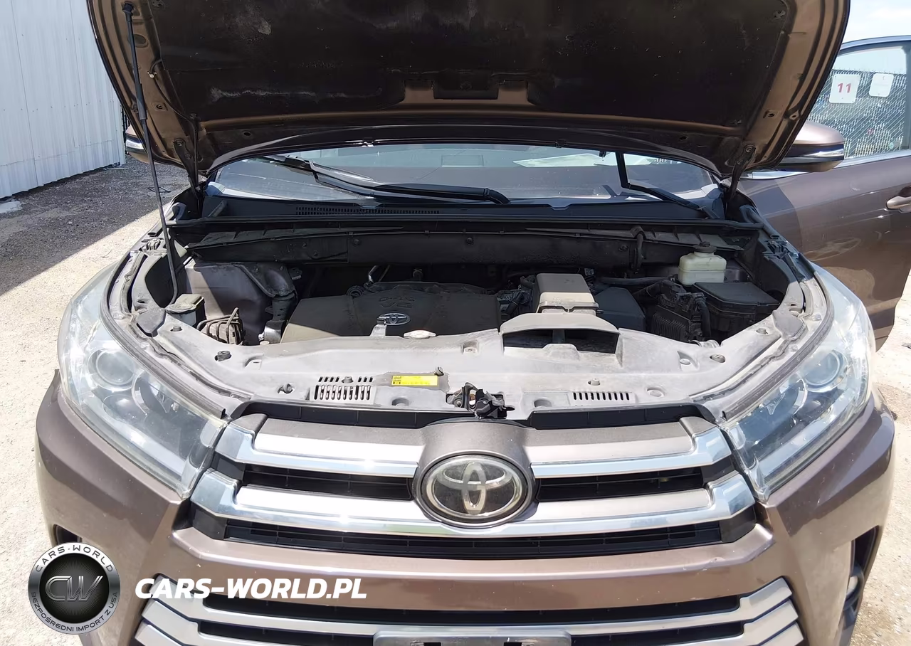 2019 Toyota Highlander Limited VIN:5TDYZRFH8KS294595 - 10