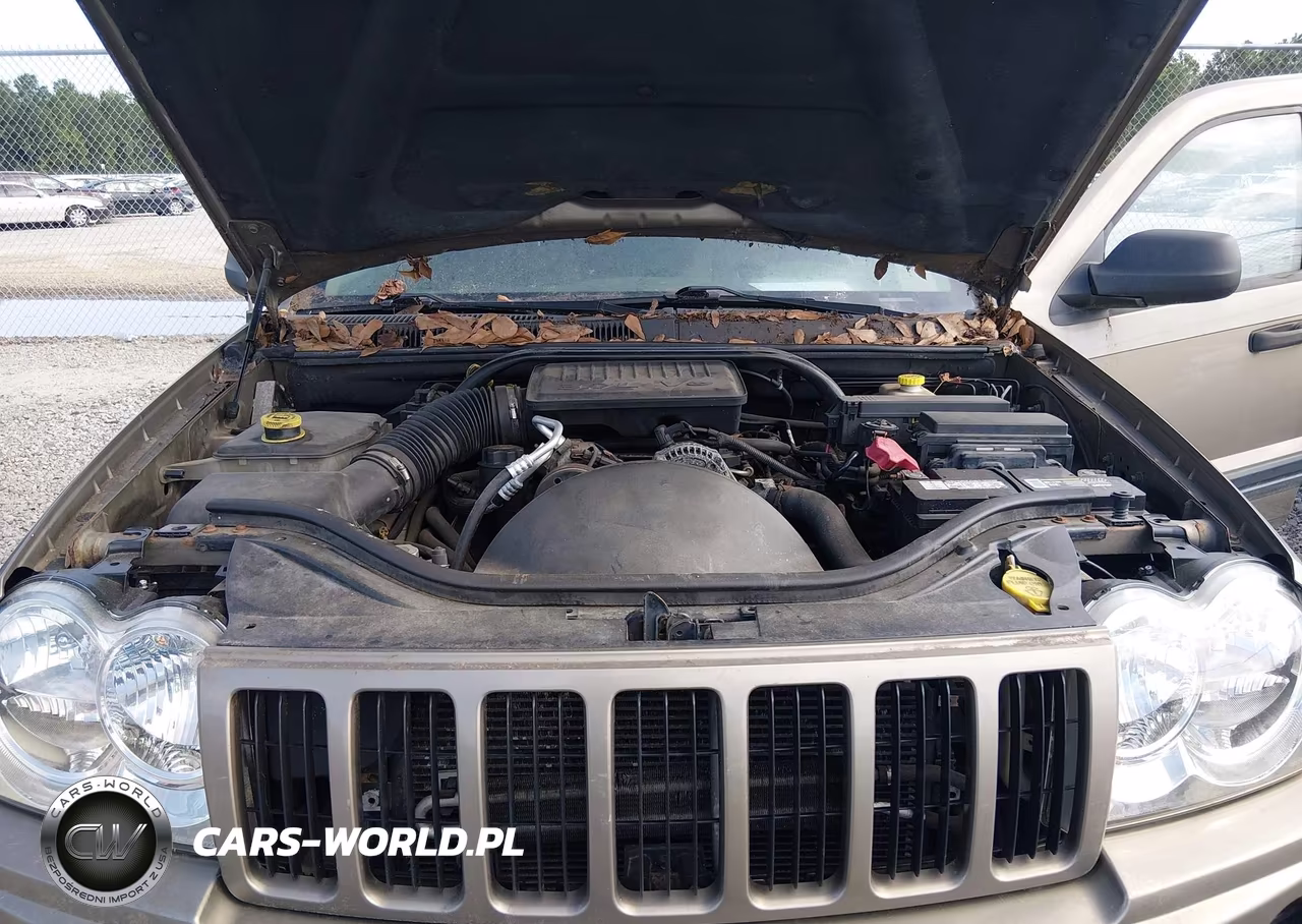 2005 Jeep Grand Cherokee Laredo VIN:1J4GR48K75C674941 - 10