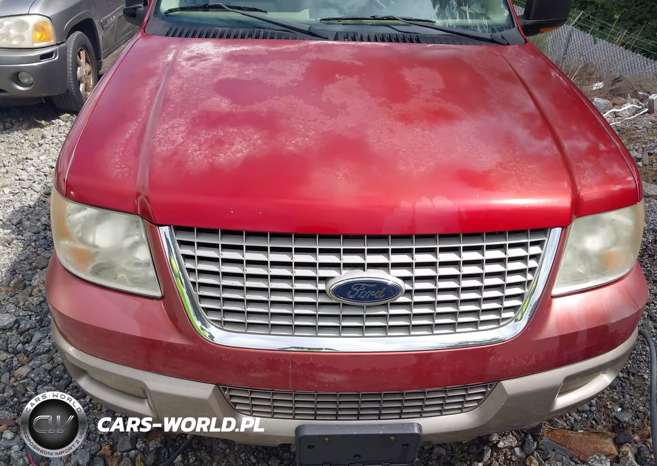2004 Ford Expedition Eddie Bauer VIN:1FMRU17W24LB33094 - 12