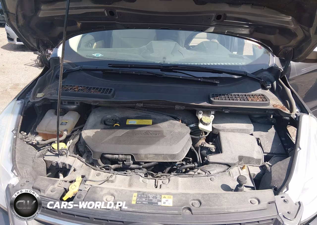 2013 Ford Escape Se VIN:1FMCU0GX6DUD75695 - 10
