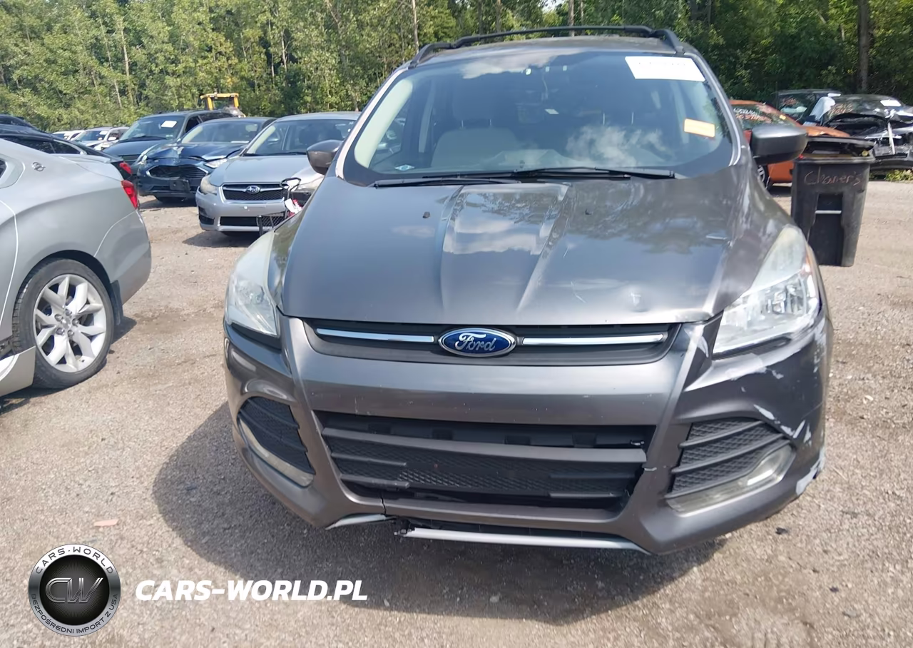 2013 Ford Escape Se VIN:1FMCU0GX6DUD75695 - 12