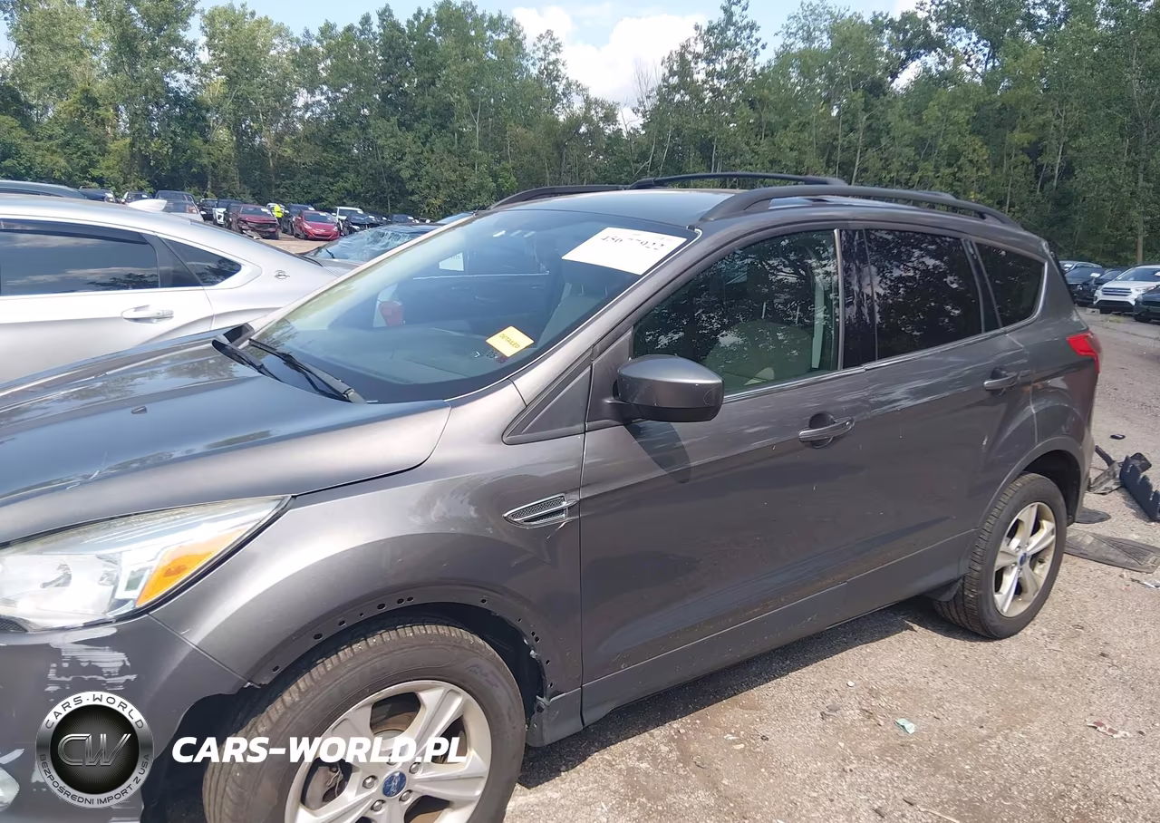 2013 Ford Escape Se VIN:1FMCU0GX6DUD75695 - 14