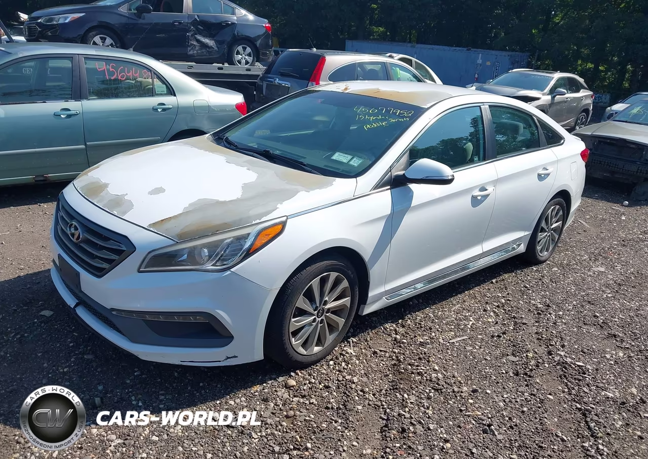 2015 Hyundai Sonata Sport VIN:5NPE34AF6FH075336 - 2